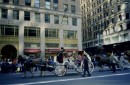 New York0010 * 320 x 210 * (33KB)
